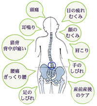 カイロプラクティック療法とは ...